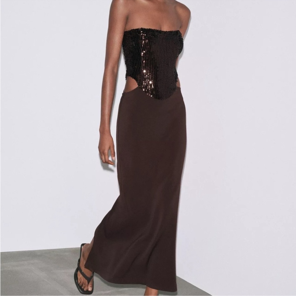 Zara Strapless Sequin Brown Dress
